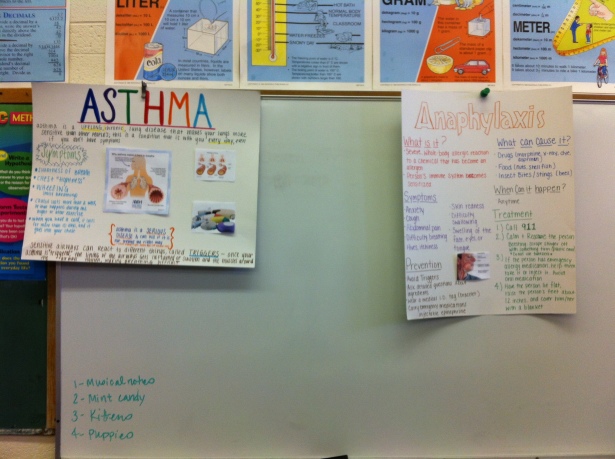 The posters from my mini-lecture. Big thanks for AMSA for helping me create them!